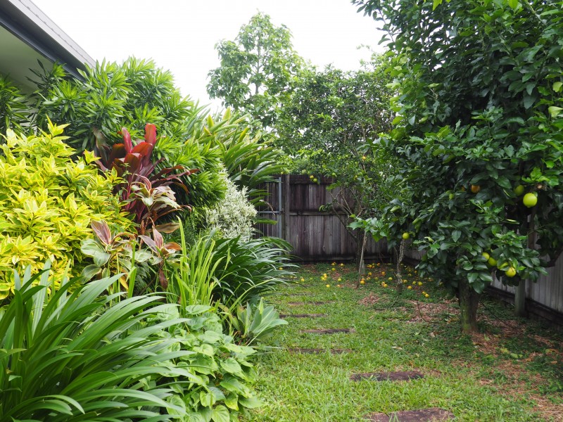 31 Midshipman St, South Mission Beach QLD 4852