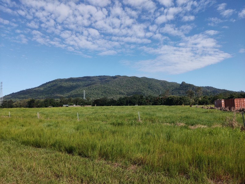 Proposed Lot Part Of 250 Tully Mission Beach Road, Merryburn QLD 4854
