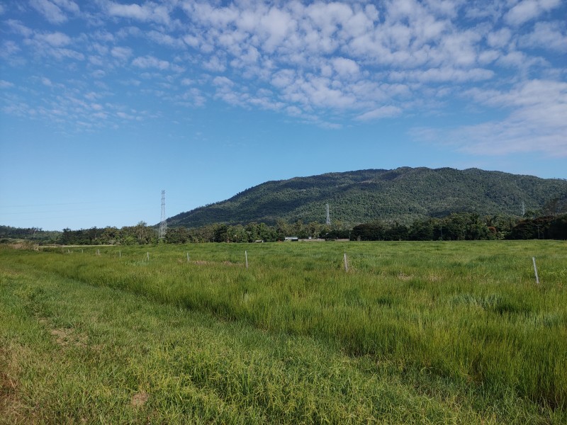 Proposed Lot Part Of 250 Tully Mission Beach Road, Merryburn QLD 4854