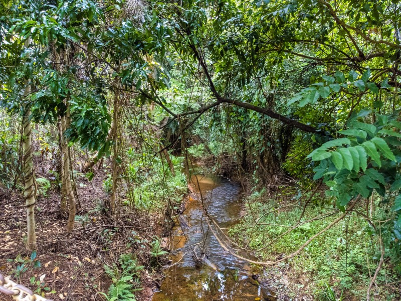 47 Moorain Rd, Mission Beach QLD 4852