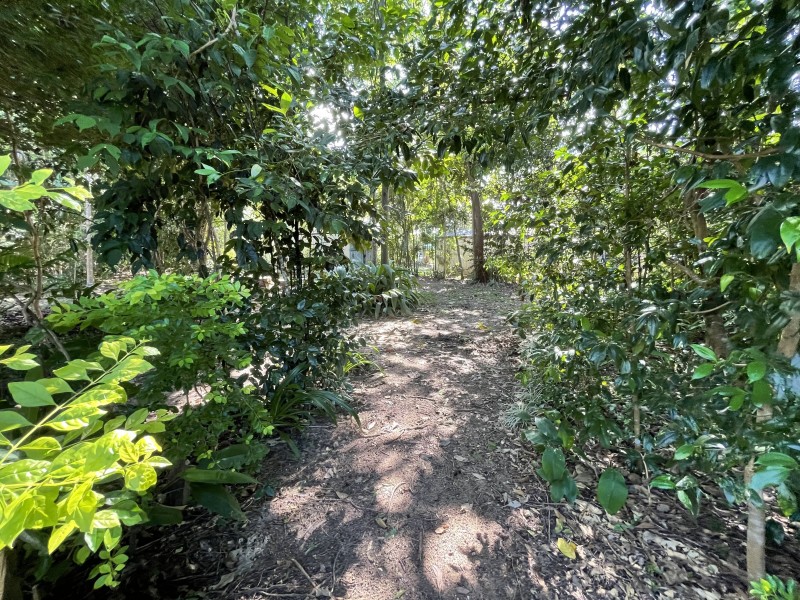 15 Spurwood Close, Wongaling Beach QLD 4852