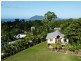 31 Dunkalli Cres, Wongaling Beach QLD 4852