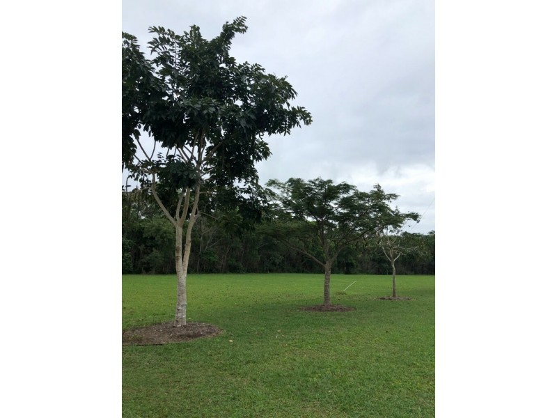 Proposed Lot 5 Hull Heads Road, Hull Heads QLD 4854