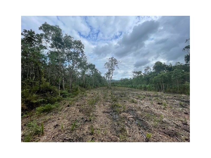 Lot 26 McIntosh Road, East Feluga QLD 4854