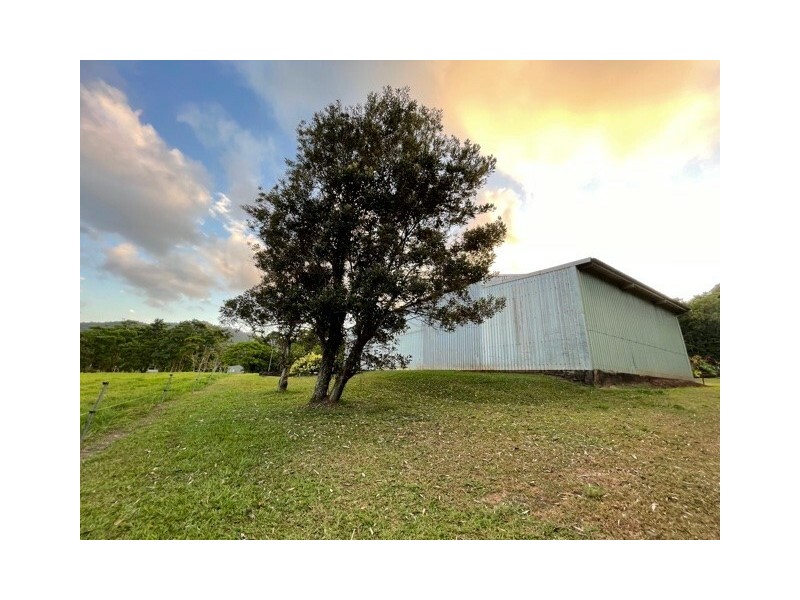 555 Bingil Bay Rd, Bingil Bay QLD 4852