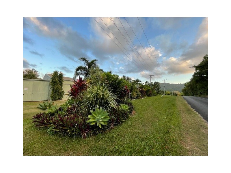 555 Bingil Bay Rd, Bingil Bay QLD 4852