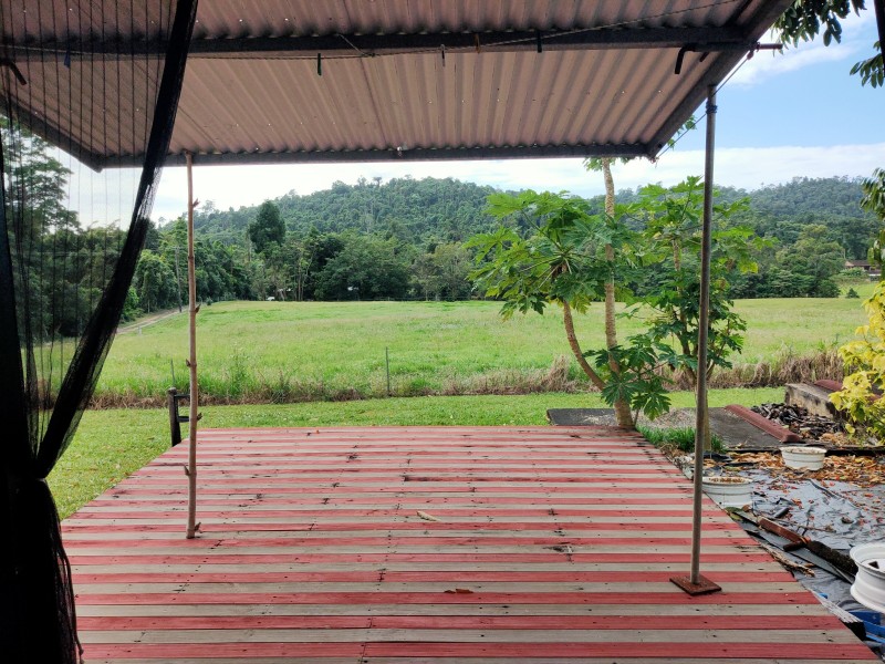 555 Bingil Bay Rd, Bingil Bay QLD 4852