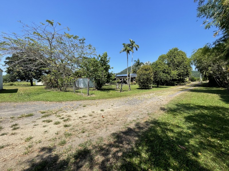 110 Jaffa Rd, El Arish QLD 4855