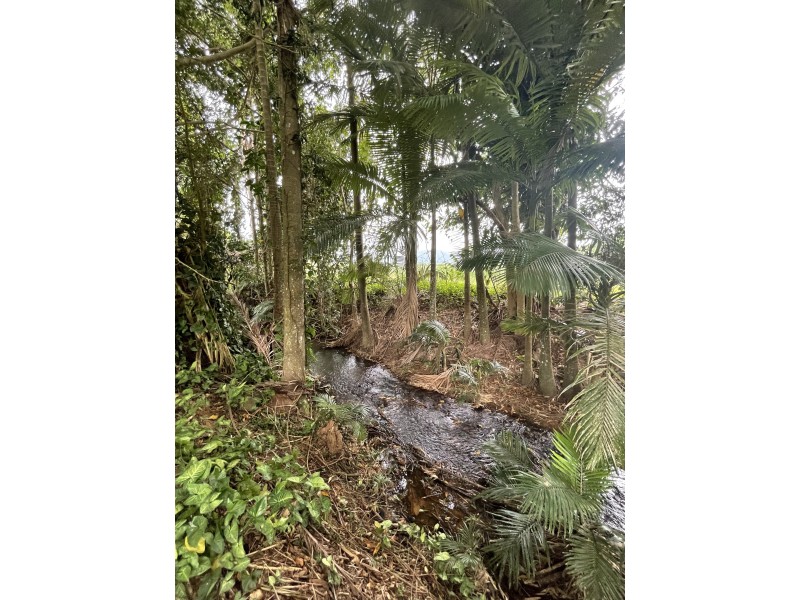 65 De Luca Rd, Silky Oak QLD 4854