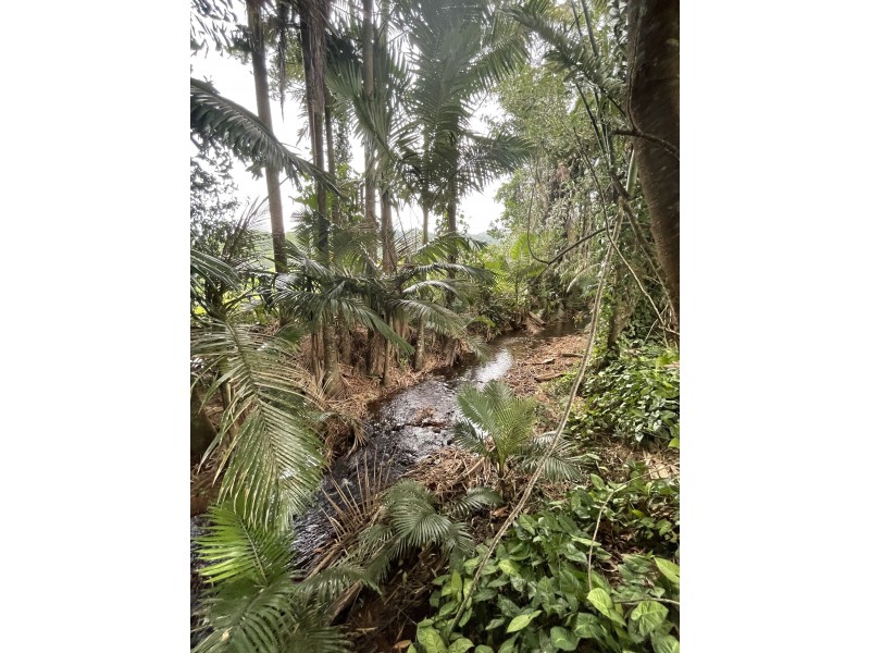 65 De Luca Rd, Silky Oak QLD 4854