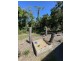8 Clipper Ct, South Mission Beach QLD 4852