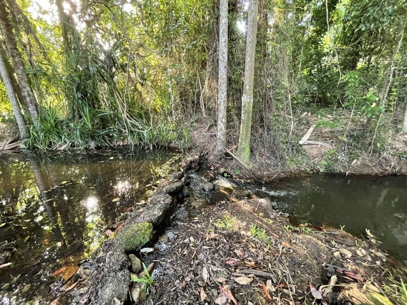 1363 El Arish Mission Beach Rd, Mission Beach QLD 4852