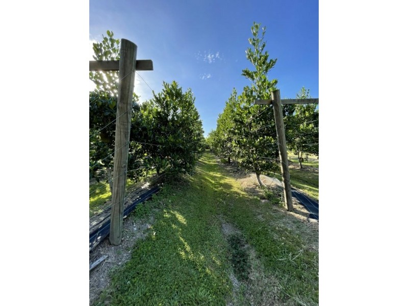 1363 El Arish Mission Beach Rd, Mission Beach QLD 4852