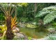 10 South Maria Creek Close, Mission Beach QLD 4852