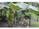 2/627 Bingil Bay Road, Bingil Bay QLD 4852