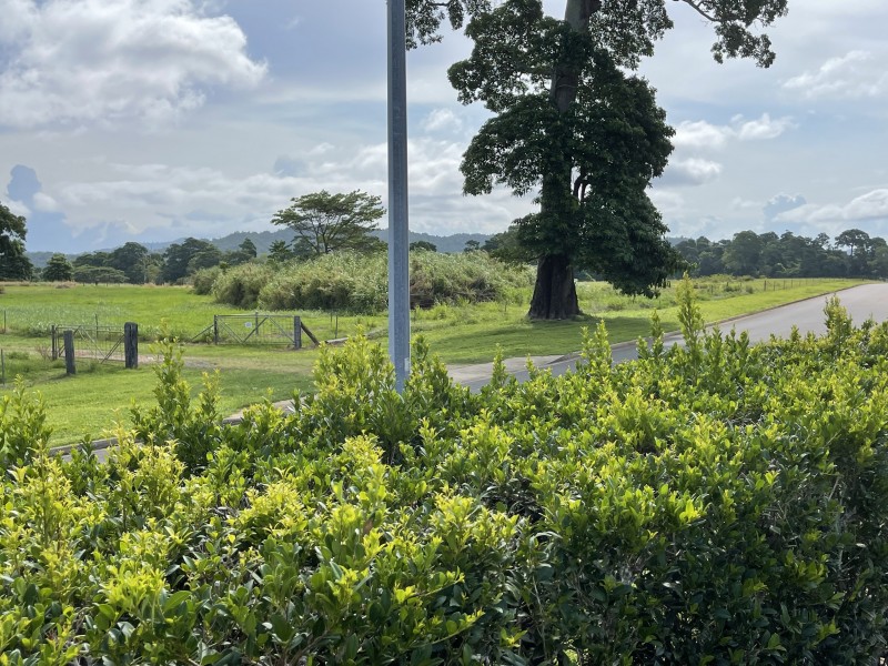 3 Rise Cres, Mission Beach QLD 4852