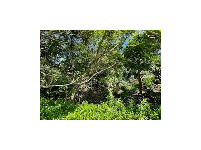 9 Cutten St, Bingil Bay QLD 4852