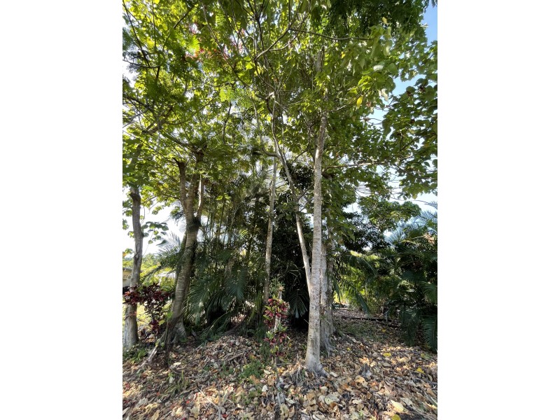 8 Cutten St, Bingil Bay QLD 4852