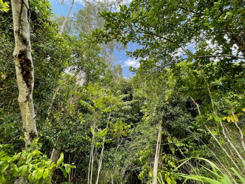 22 Nivosa Court, Mission Beach QLD 4852