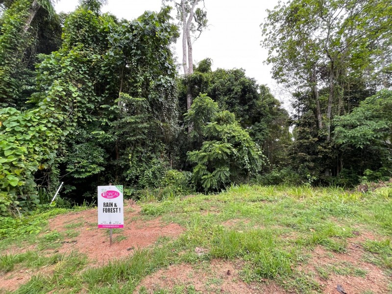 7 Bicton Cl, Bingil Bay QLD 4852