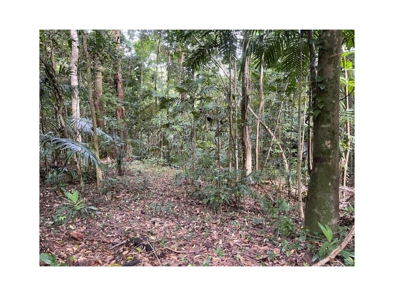 7 Bicton Cl, Bingil Bay QLD 4852