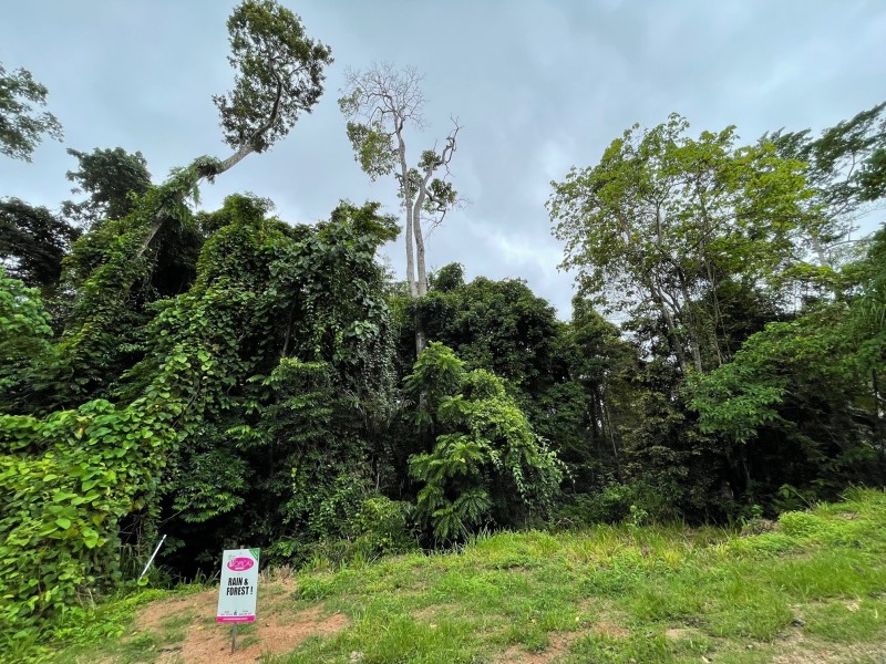 7 Bicton Cl, Bingil Bay QLD 4852