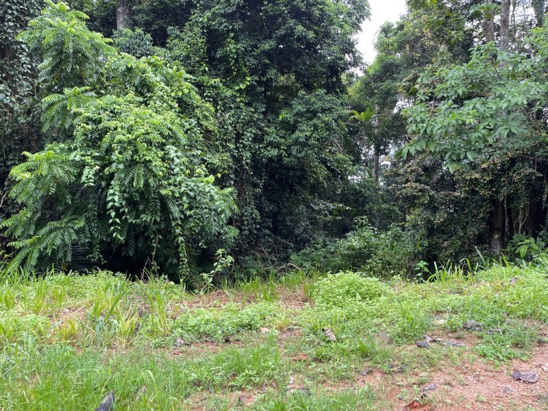 7 Bicton Cl, Bingil Bay QLD 4852