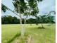 Proposed Lot 6 Hull Heads Road, Hull Heads QLD 4854