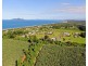 4 Purtaboi Cl, Mission Beach QLD 4852