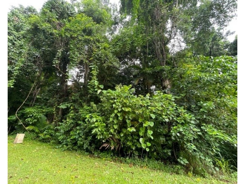 17 Bicton Cl, Bingil Bay QLD 4852