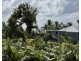 7 Cutten St, Bingil Bay QLD 4852