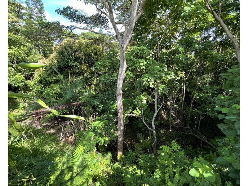 7 Cutten St, Bingil Bay QLD 4852