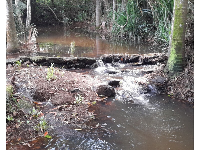 1363 El Arish Mission Beach Rd, Mission Beach QLD 4852