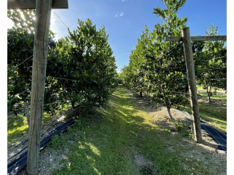 1363 El Arish Mission Beach Rd, Mission Beach QLD 4852