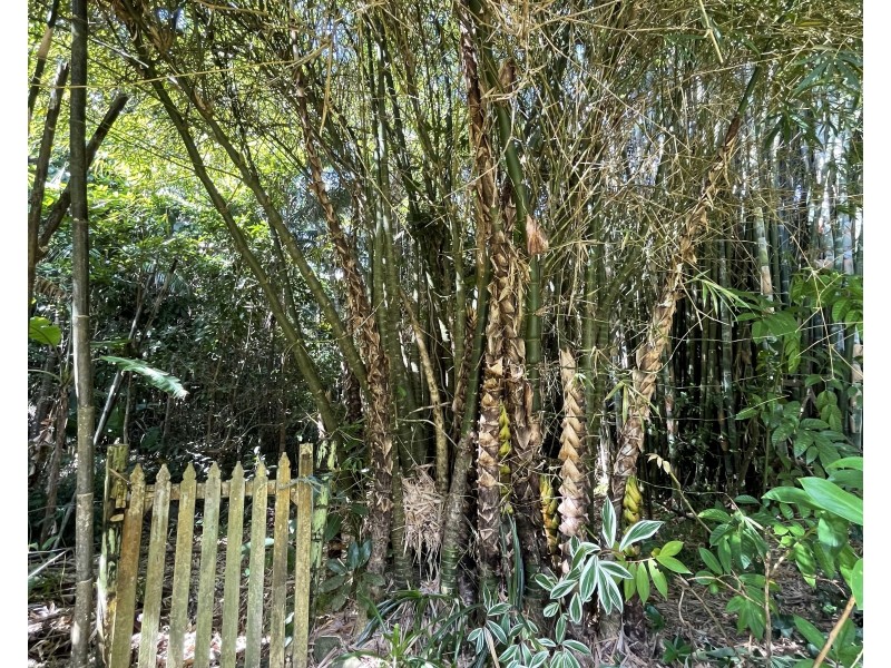 7 Hutchison Cl, Mission Beach QLD 4852