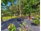 24 Sanctuary Crescent, Wongaling Beach QLD 4852