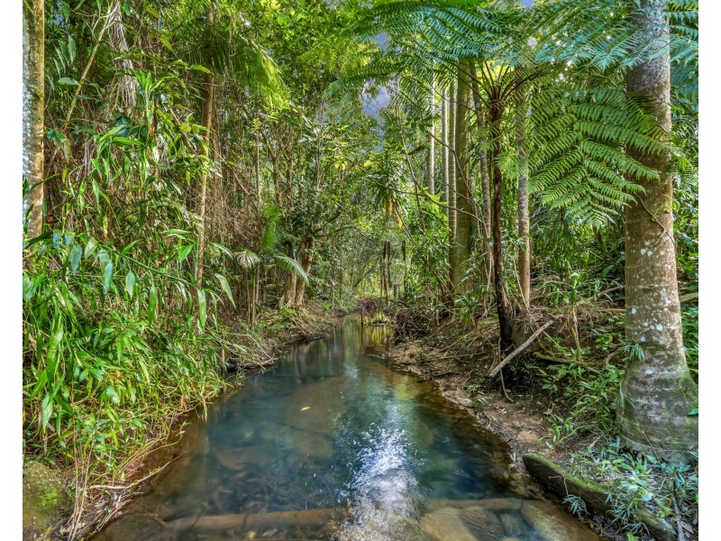 396 Tully Mission Beach Rd, Merryburn QLD 4854