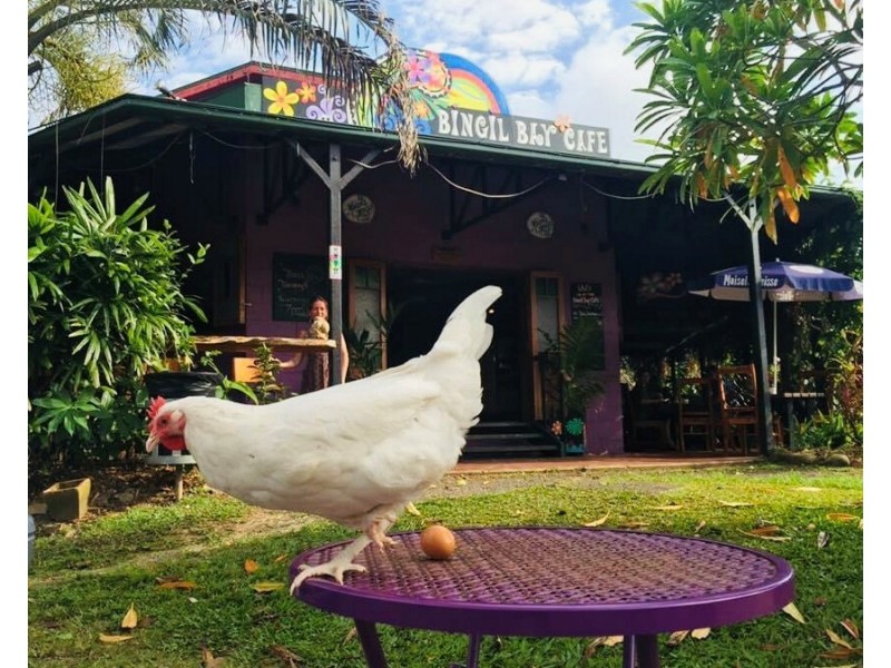 63 Cutten St, Bingil Bay QLD 4852