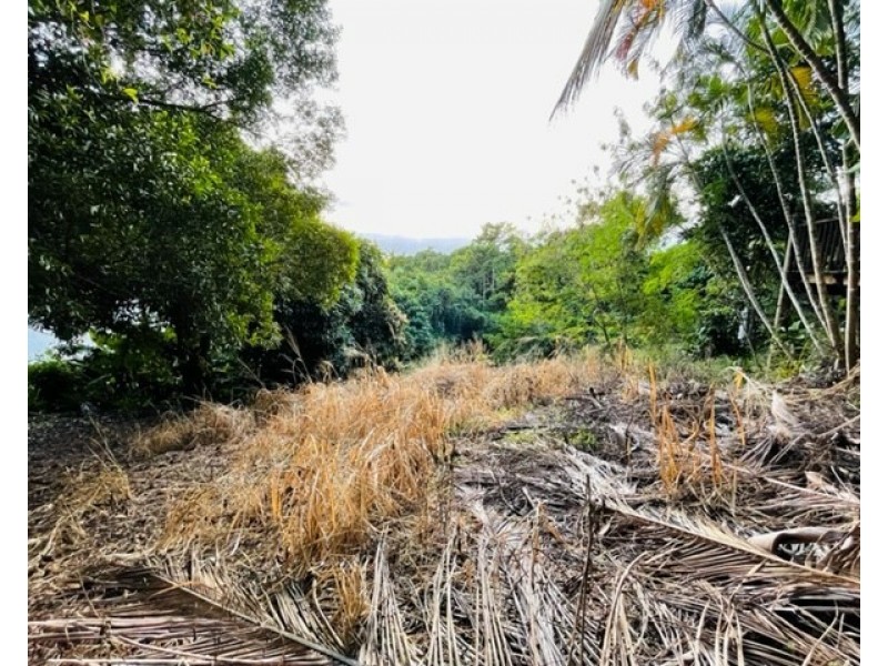 63 Cutten St, Bingil Bay QLD 4852