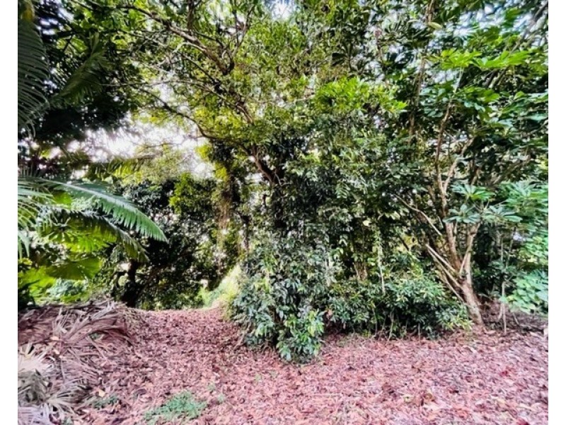 63 Cutten St, Bingil Bay QLD 4852