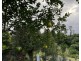 LOT 7 Teitzel Dr, East Feluga QLD 4854