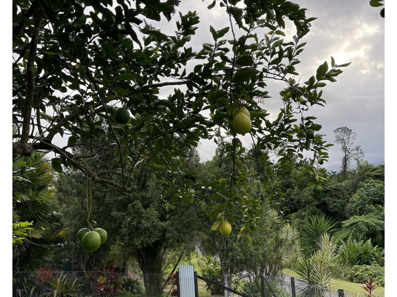 LOT 7 Teitzel Dr, East Feluga QLD 4854