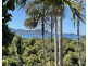 52 Mission Dr, South Mission Beach QLD 4852