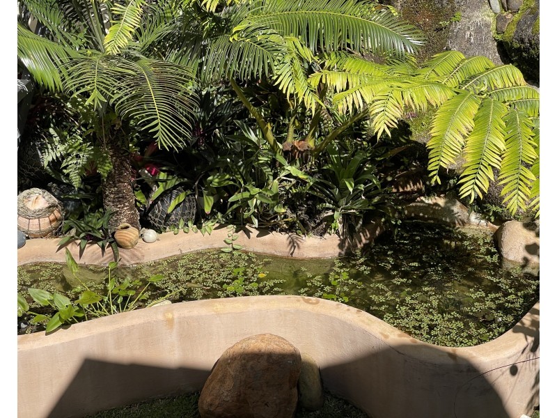 52 Mission Dr, South Mission Beach QLD 4852