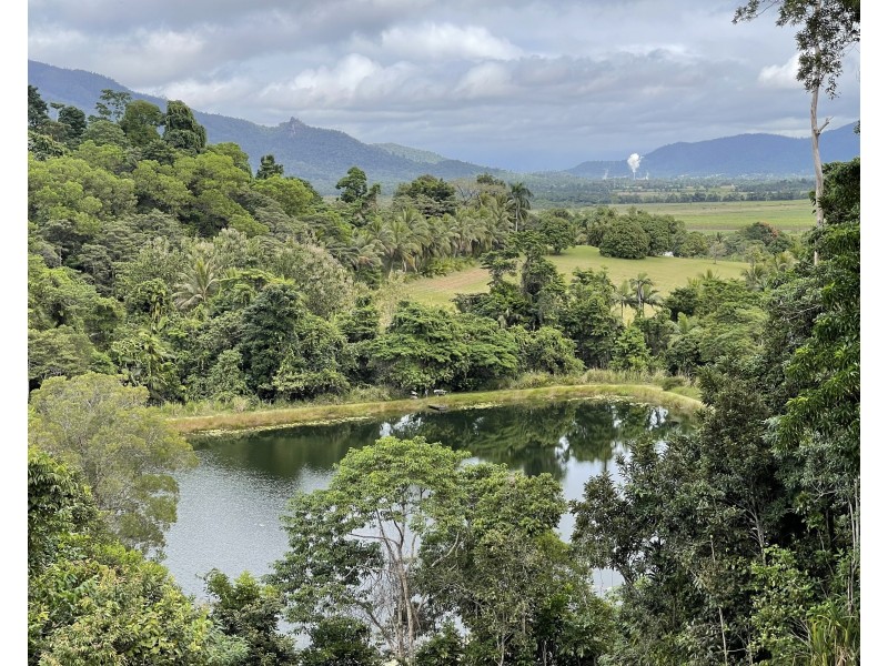 463 East Feluga Rd, East Feluga QLD 4854