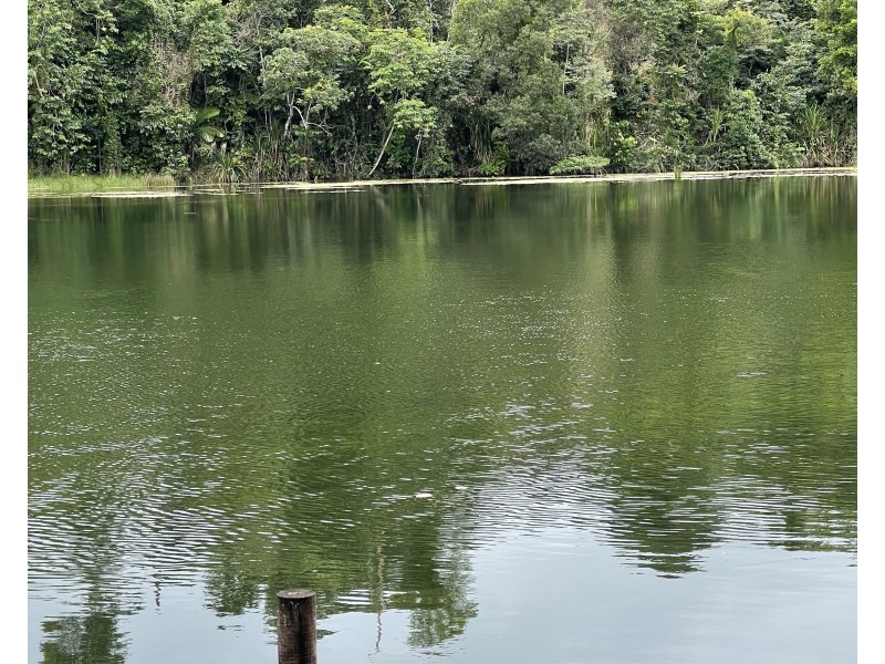463 East Feluga Rd, East Feluga QLD 4854