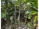 140 Feluga Road, Feluga QLD 4854