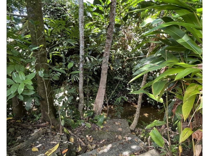 140 Feluga Road, Feluga QLD 4854