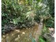 140 Feluga Road, Feluga QLD 4854