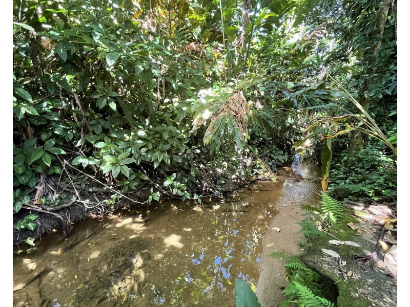 140 Feluga Road, Feluga QLD 4854